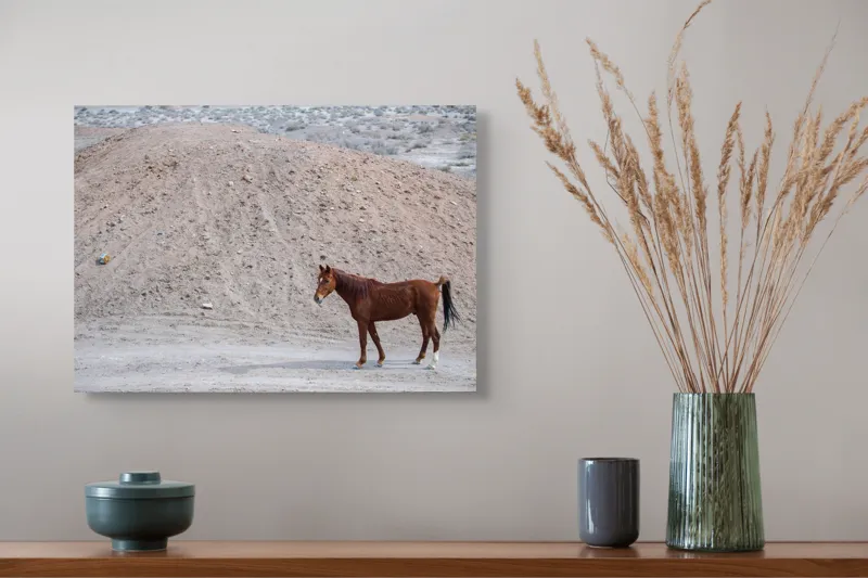 Tablou Canvas, "Cal singur în peisaj arid", Cal, Deal, Pustiu, Singurătate, Natură, Pământ, Peisaj, Sălbăticie., 54 x 39 cm – poza 4