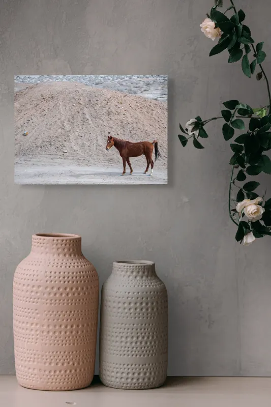 Tablou Canvas, "Cal singur în peisaj arid", Cal, Deal, Pustiu, Singurătate, Natură, Pământ, Peisaj, Sălbăticie., 54 x 39 cm – poza 8
