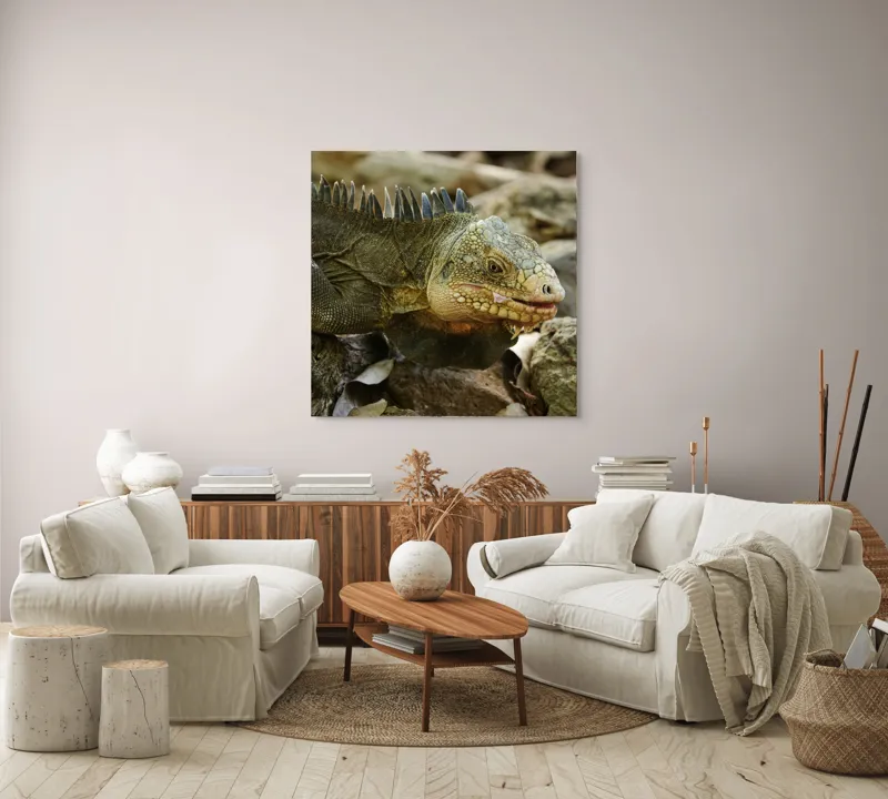 Tablou Canvas, "Iguana pe stâncile tropicale", Iguana, Solzi, Gândește, Culoare, Natură, Piatră, Camuflaj, Lumină, Textură, Tropical., 100 x 100 cm – poza 3