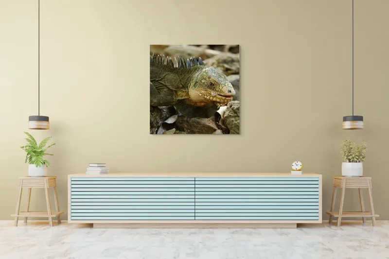 Tablou Canvas, "Iguana pe stâncile tropicale", Iguana, Solzi, Gândește, Culoare, Natură, Piatră, Camuflaj, Lumină, Textură, Tropical., 100 x 100 cm – poza 5