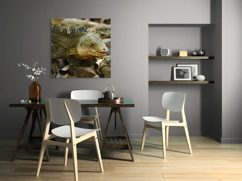 Tablou Canvas, "Iguana pe stâncile tropicale", Iguana, Solzi, Gândește, Culoare, Natură, Piatră, Camuflaj, Lumină, Textură, Tropical., 100 x 100 cm – poza 6