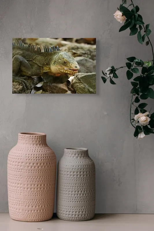 Tablou Canvas, "Iguana pe stâncile tropicale", Iguana, Solzi, Gândește, Culoare, Natură, Piatră, Camuflaj, Lumină, Textură, Tropical., 39 x 26 cm – poza 4