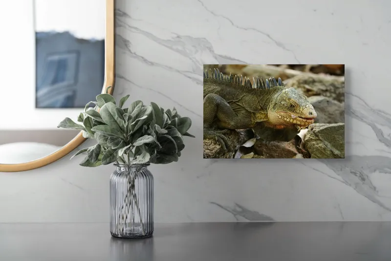 Tablou Canvas, "Iguana pe stâncile tropicale", Iguana, Solzi, Gândește, Culoare, Natură, Piatră, Camuflaj, Lumină, Textură, Tropical., 39 x 26 cm – poza 5