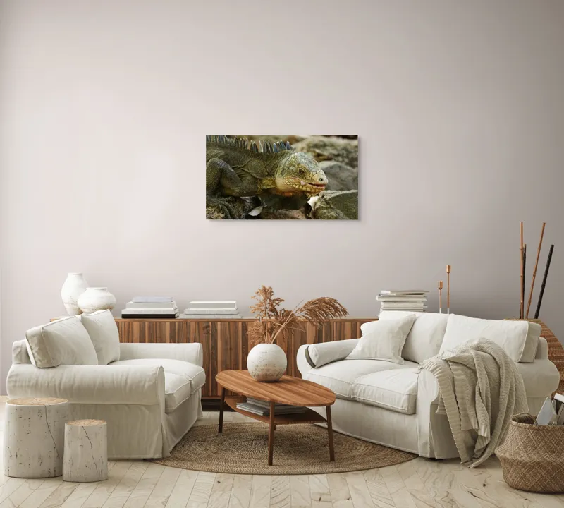 Tablou Canvas, "Iguana pe stâncile tropicale", Iguana, Solzi, Gândește, Culoare, Natură, Piatră, Camuflaj, Lumină, Textură, Tropical., 90 x 50 cm – poza 4