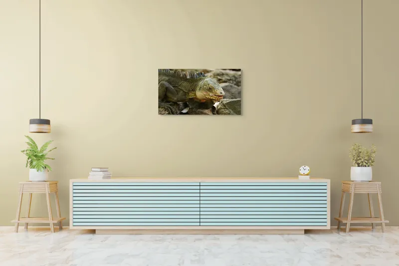 Tablou Canvas, "Iguana pe stâncile tropicale", Iguana, Solzi, Gândește, Culoare, Natură, Piatră, Camuflaj, Lumină, Textură, Tropical., 90 x 50 cm – poza 5