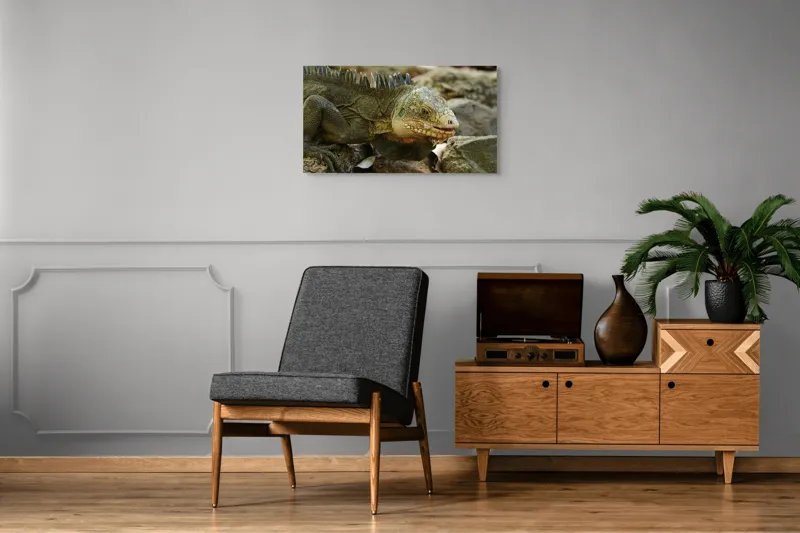 Tablou Canvas, "Iguana pe stâncile tropicale", Iguana, Solzi, Gândește, Culoare, Natură, Piatră, Camuflaj, Lumină, Textură, Tropical., 90 x 50 cm – poza 6