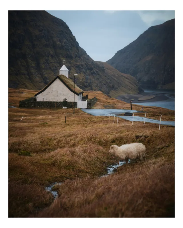 Tablou Canvas, "Oaia singuratică lângă biserică în munți", Sheep, Church, Valley, Mountains, Grass, Path, Overcast, Calm, 100 x 100 cm