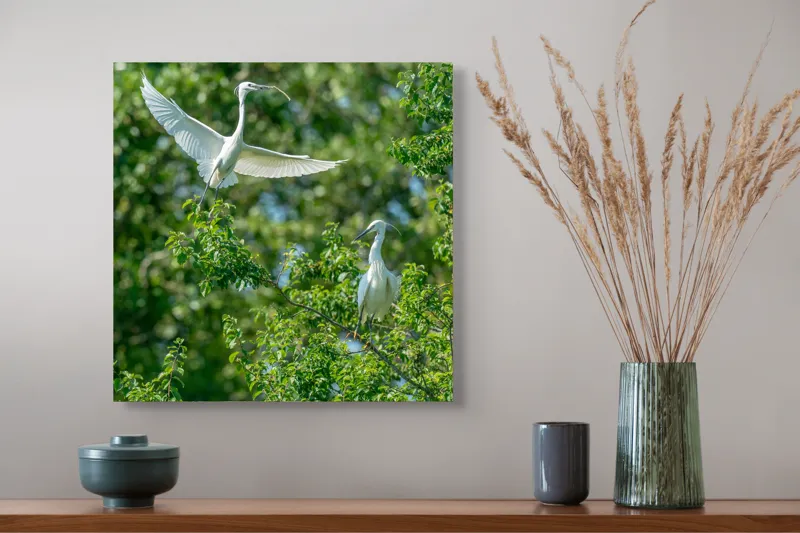 Tablou Canvas, "Grațioasele egrete printre frunze verzi", Aripi, Grație, Verdeață, Rămurici, Luminozitate, Natură, Eleganță, Conexiune, 50 x 50 cm – poza 4