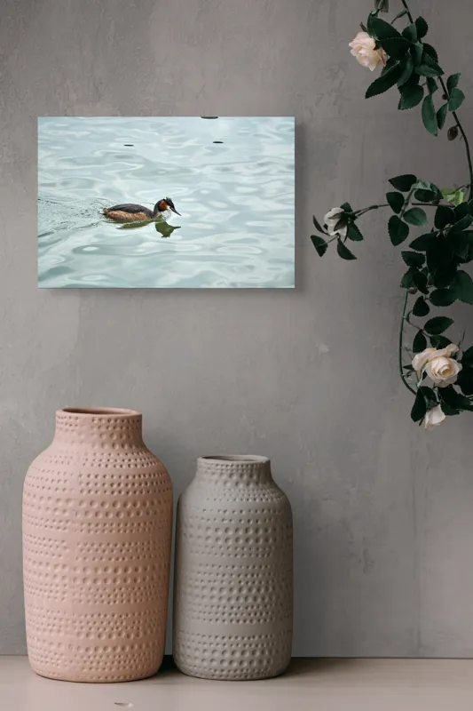 Tablou Canvas, "Grebe scufundător în luciul apei", 39 x 26 cm – poza 4