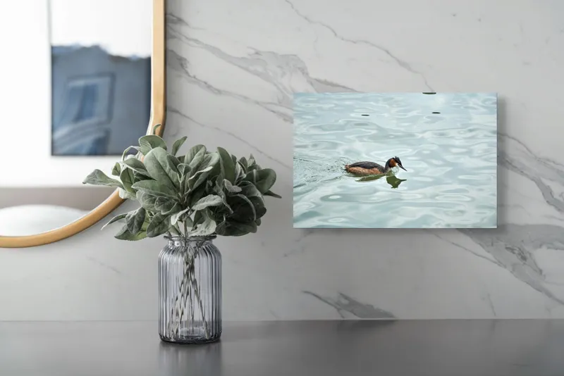 Tablou Canvas, "Grebe scufundător în luciul apei", 39 x 26 cm – poza 5