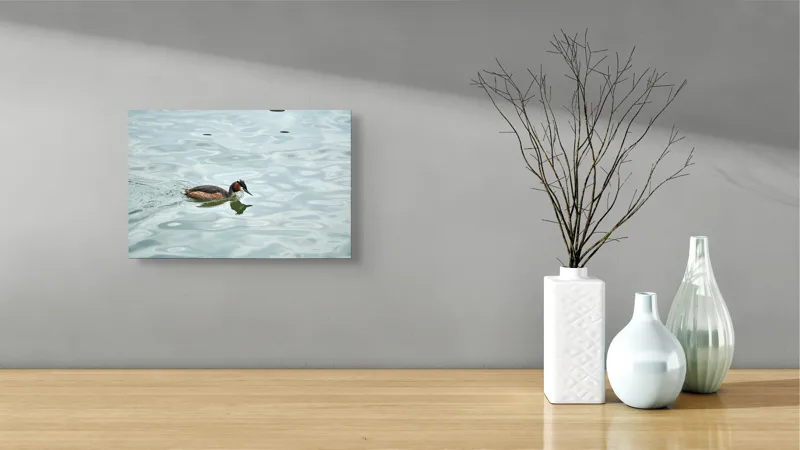 Tablou Canvas, "Grebe scufundător în luciul apei", 39 x 26 cm – poza 8