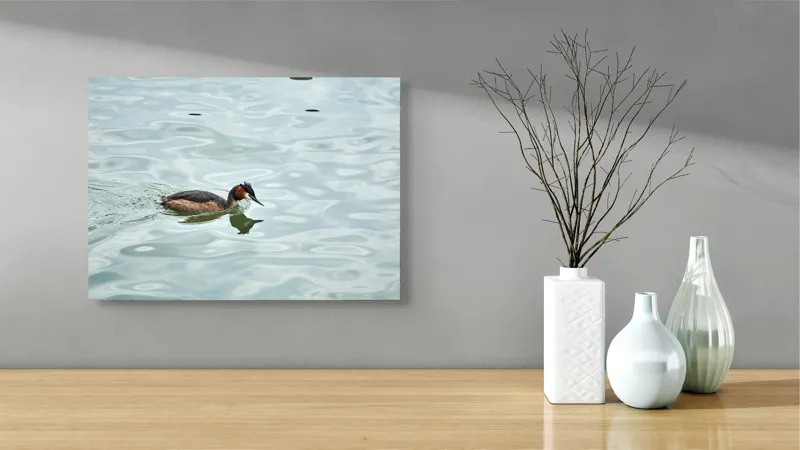Tablou Canvas, "Grebe scufundător în luciul apei", 54 x 39 cm – poza 3