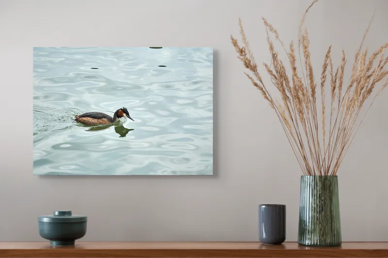 Tablou Canvas, "Grebe scufundător în luciul apei", 54 x 39 cm – poza 4