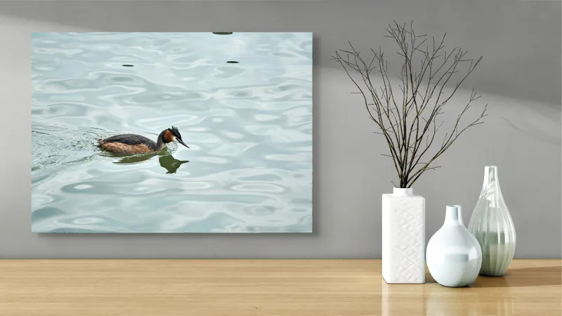 Tablou Canvas, "Grebe scufundător în luciul apei", 70 x 50 cm – poza 3