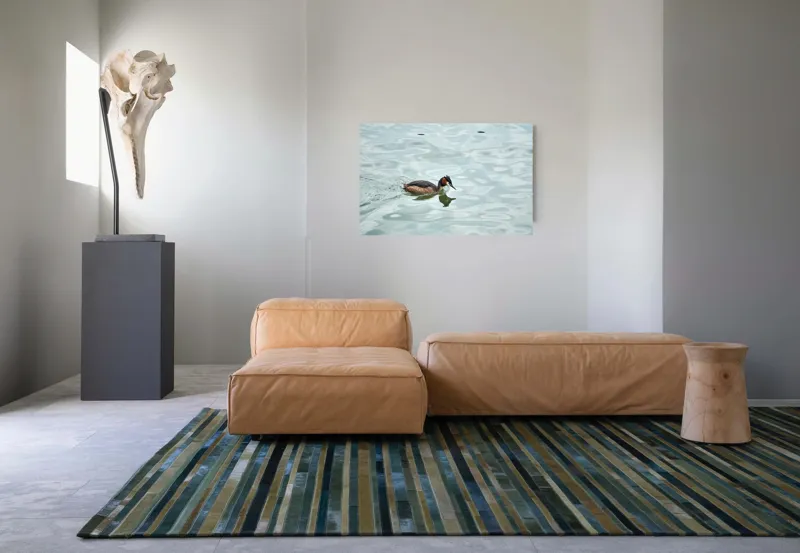 Tablou Canvas, "Grebe scufundător în luciul apei", 90 x 50 cm – poza 8