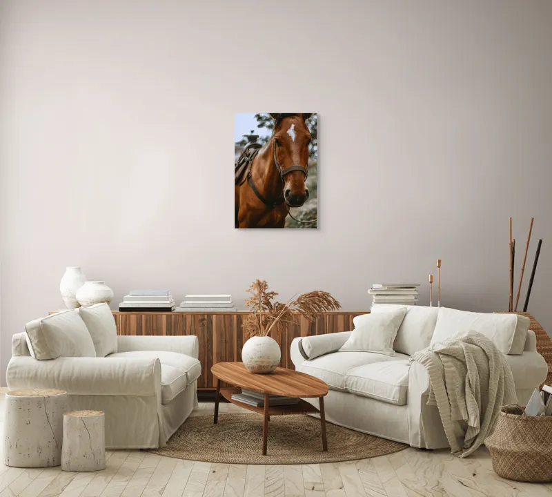 Tablou Canvas, "Calul prietenul nobil al omului", Cal, Ham, Blană, Căpăstru, Privire, Copac., 50 x 70 cm – poza 4