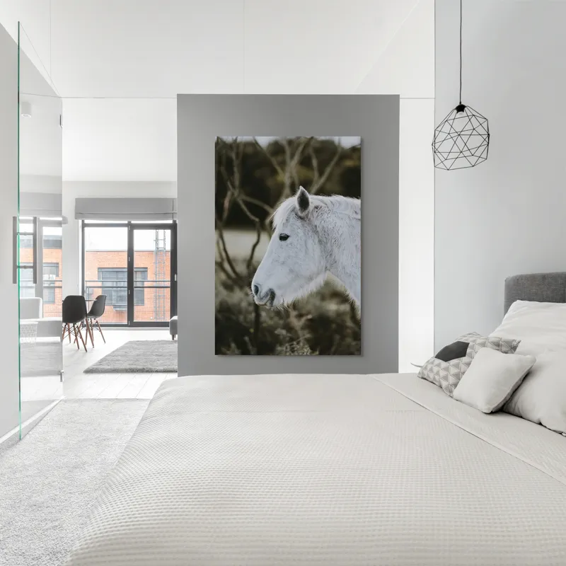 Tablou Canvas, "Calul alb al pădurii adormite", Calm, Elegant, Alb, Natural, Simplu, Seren, Gratie, Blana, Profil, Linistit, 100 x 150 cm – poza 5