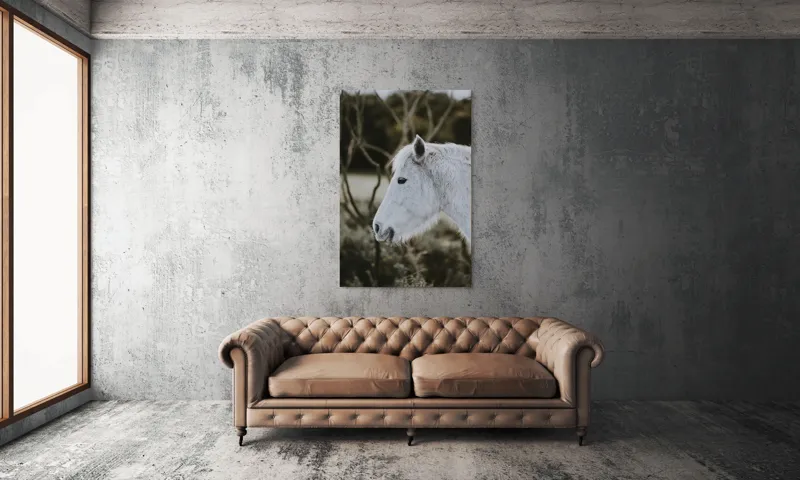 Tablou Canvas, "Calul alb al pădurii adormite", Calm, Elegant, Alb, Natural, Simplu, Seren, Gratie, Blana, Profil, Linistit, 100 x 150 cm – poza 6