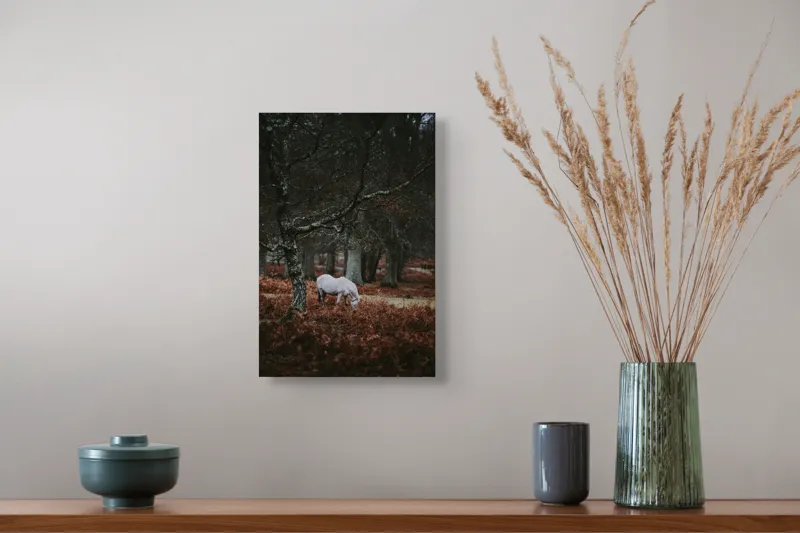 Tablou Canvas, "Cal alb păscând în pădure toamna", Cal, Pădure, Toamnă, Frunziș, Copaci, Natură, Peisaj, Melancolie, Retragere, Liniște, 26 x 39 cm – poza 5