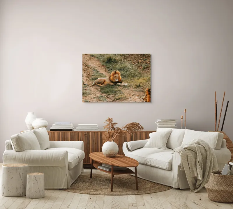 Tablou Canvas, "Regele animalelor se odihnește liniștit", Majestuos, Puternic, Regal, Relaxat, Impunător, Nobil, Seren, Dominant, Magnific., 100 x 70 cm – poza 3