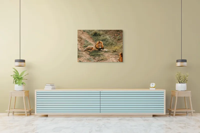 Tablou Canvas, "Regele animalelor se odihnește liniștit", Majestuos, Puternic, Regal, Relaxat, Impunător, Nobil, Seren, Dominant, Magnific., 100 x 70 cm – poza 4