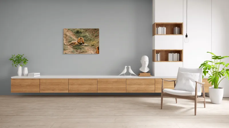 Tablou Canvas, "Regele animalelor se odihnește liniștit", Majestuos, Puternic, Regal, Relaxat, Impunător, Nobil, Seren, Dominant, Magnific., 100 x 70 cm – poza 6