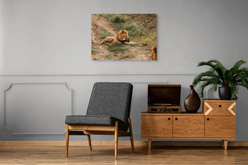 Tablou Canvas, "Regele animalelor se odihnește liniștit", Majestuos, Puternic, Regal, Relaxat, Impunător, Nobil, Seren, Dominant, Magnific., 100 x 70 cm – poza 8
