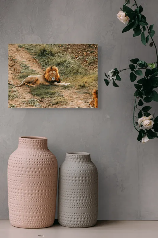 Tablou Canvas, "Regele animalelor se odihnește liniștit", Majestuos, Puternic, Regal, Relaxat, Impunător, Nobil, Seren, Dominant, Magnific., 54 x 39 cm – poza 8