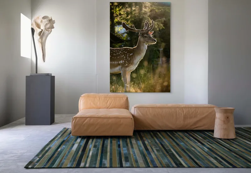 Tablou Canvas, "Cerbul admirând răsăritul din pădure.", Frumusețe, Eleganță, Lumină, Natură, Seară, Animal, Pădure, Căldură, Tranquilitate, Fin., 100 x 150 cm – poza 7