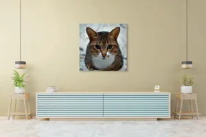 Tablou Canvas, "Pisica înțeleaptă meditează tăcută", 100 x 100 cm – poza 5