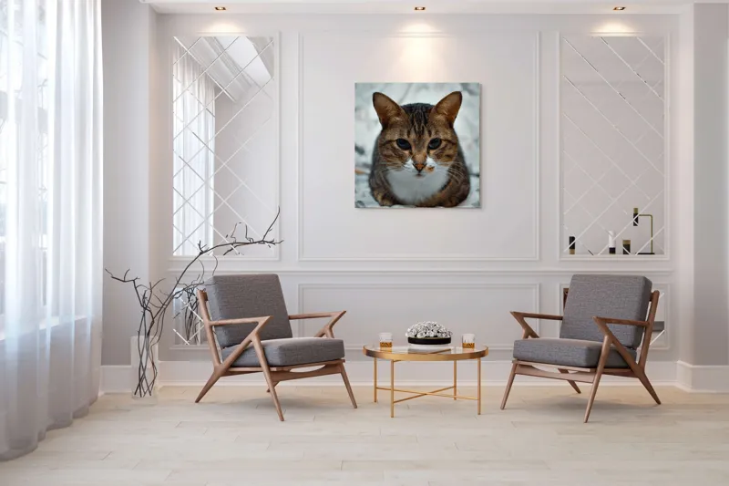 Tablou Canvas, "Pisica înțeleaptă meditează tăcută", 100 x 100 cm – poza 7