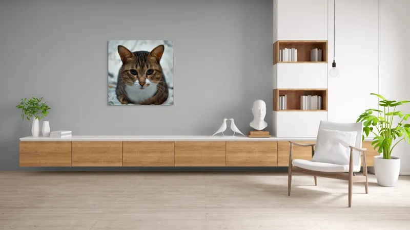 Tablou Canvas, "Pisica înțeleaptă meditează tăcută", 100 x 100 cm – poza 8