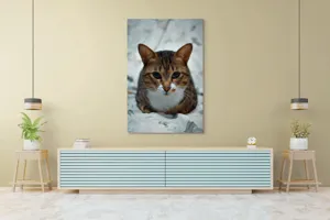 Tablou Canvas, "Pisica înțeleaptă meditează tăcută", 100 x 150 cm – poza 4