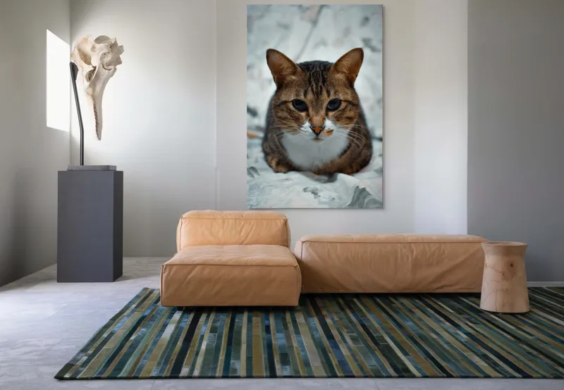 Tablou Canvas, "Pisica înțeleaptă meditează tăcută", 100 x 150 cm – poza 7