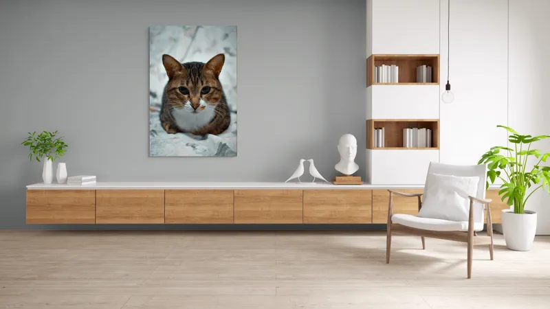 Tablou Canvas, "Pisica înțeleaptă meditează tăcută", 100 x 150 cm – poza 8