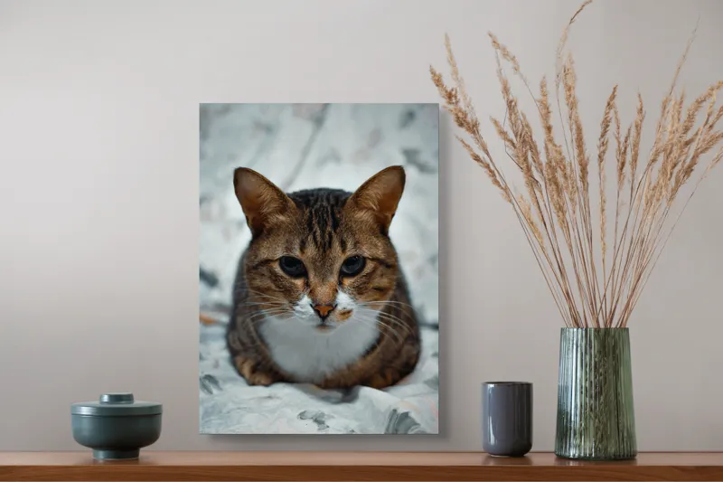 Tablou Canvas, "Pisica înțeleaptă meditează tăcută", 39 x 54 cm – poza 3