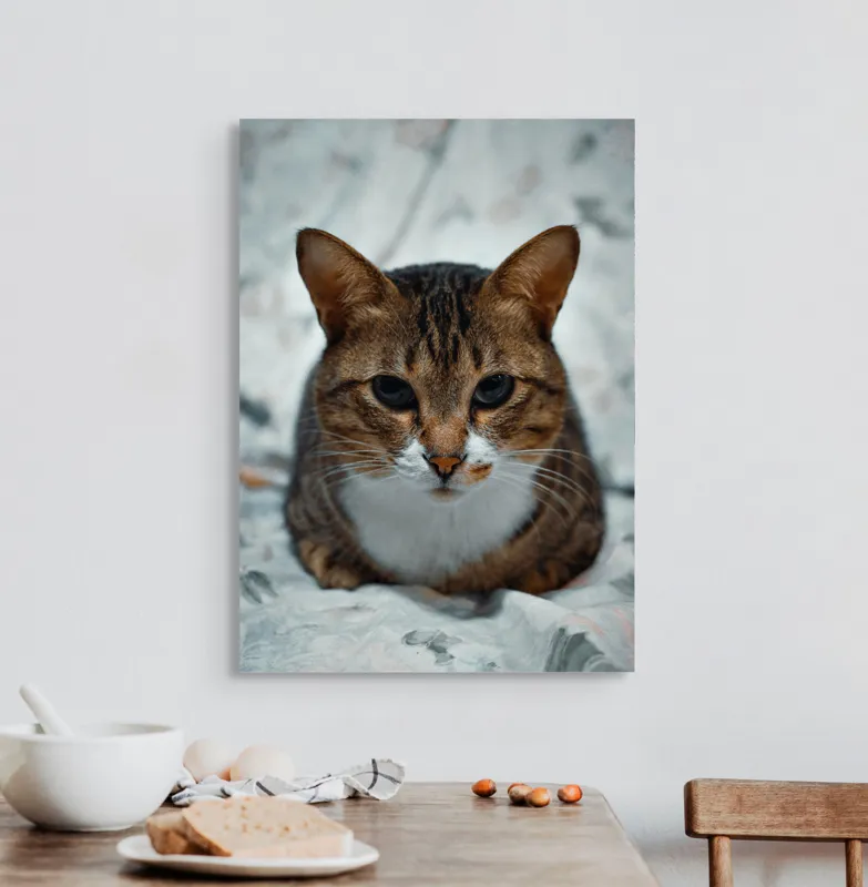 Tablou Canvas, "Pisica înțeleaptă meditează tăcută", 50 x 70 cm – poza 3