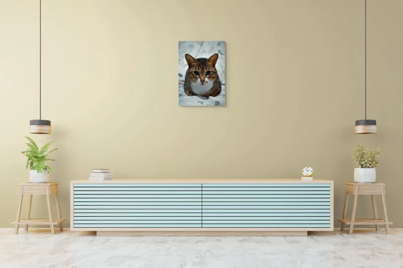 Tablou Canvas, "Pisica înțeleaptă meditează tăcută", 50 x 70 cm – poza 6