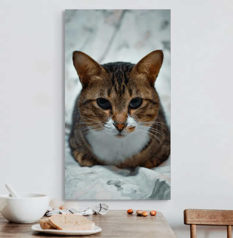 Tablou Canvas, "Pisica înțeleaptă meditează tăcută", 50 x 90 cm – poza 3
