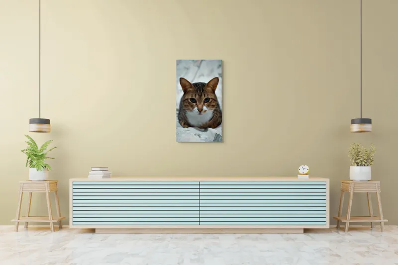 Tablou Canvas, "Pisica înțeleaptă meditează tăcută", 50 x 90 cm – poza 6