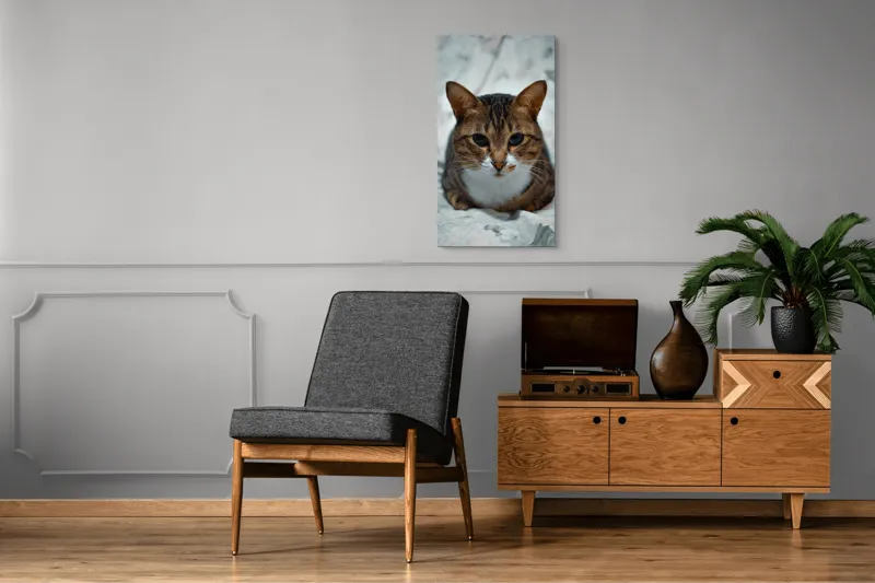 Tablou Canvas, "Pisica înțeleaptă meditează tăcută", 50 x 90 cm – poza 8