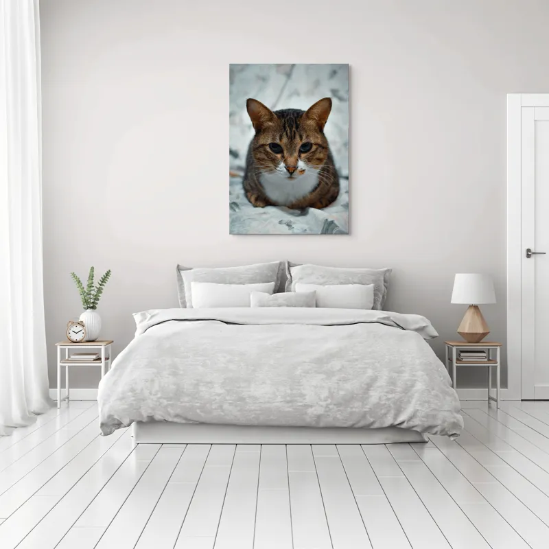 Tablou Canvas, "Pisica înțeleaptă meditează tăcută", 70 x 100 cm – poza 3