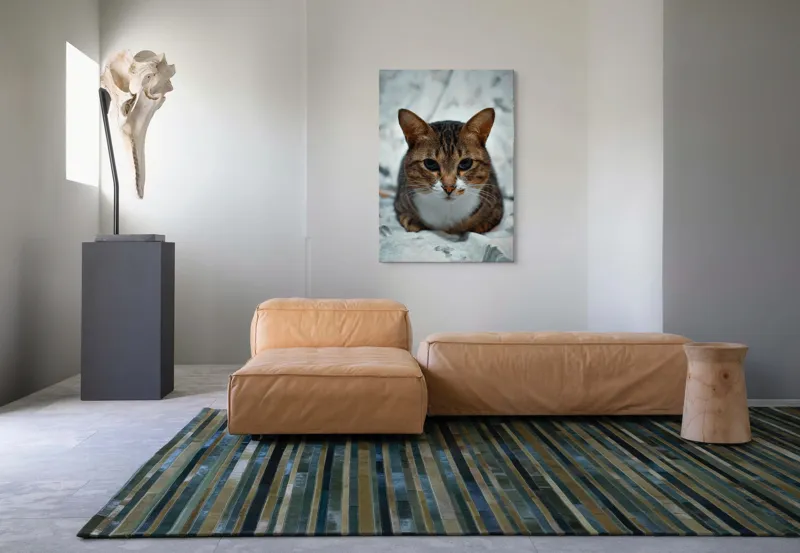 Tablou Canvas, "Pisica înțeleaptă meditează tăcută", 70 x 100 cm – poza 7