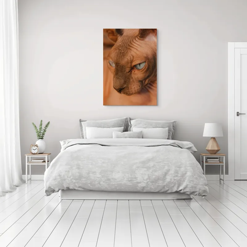 Tablou Canvas, "Privirea enigma a pisicii faraonice", Pisica, Fara Par, Ochi Albastri, Fata Apropiata, Textura Pielii, Urechi Mari., 70 x 100 cm – poza 3