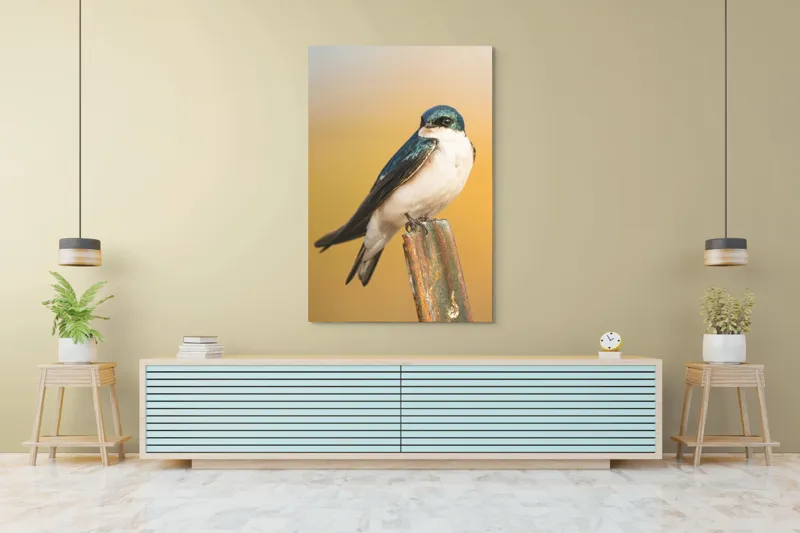 Tablou Canvas, Pasăre, Rândunică, Pene, Metal, Fundal, Natural, Ochi, Penaj, Frumusețe, Delicatețe, 100 x 150 cm – poza 4