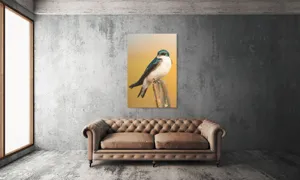 Tablou Canvas, Pasăre, Rândunică, Pene, Metal, Fundal, Natural, Ochi, Penaj, Frumusețe, Delicatețe, 100 x 150 cm – poza 6