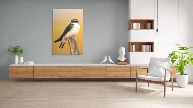 Tablou Canvas, Pasăre, Rândunică, Pene, Metal, Fundal, Natural, Ochi, Penaj, Frumusețe, Delicatețe, 100 x 150 cm – poza 8