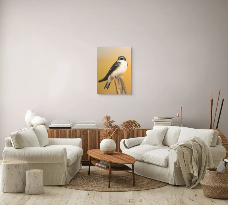 Tablou Canvas, Pasăre, Rândunică, Pene, Metal, Fundal, Natural, Ochi, Penaj, Frumusețe, Delicatețe, 50 x 70 cm – poza 4
