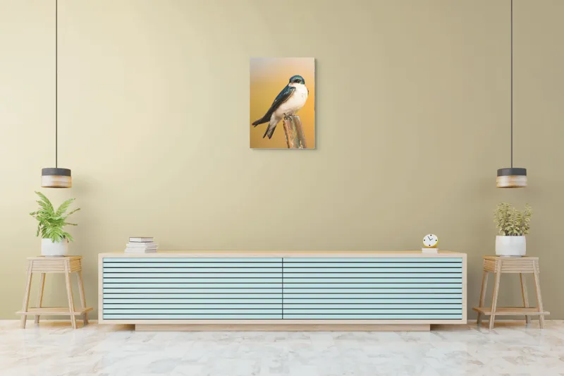 Tablou Canvas, Pasăre, Rândunică, Pene, Metal, Fundal, Natural, Ochi, Penaj, Frumusețe, Delicatețe, 50 x 70 cm – poza 6