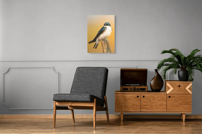 Tablou Canvas, Pasăre, Rândunică, Pene, Metal, Fundal, Natural, Ochi, Penaj, Frumusețe, Delicatețe, 50 x 70 cm – poza 8
